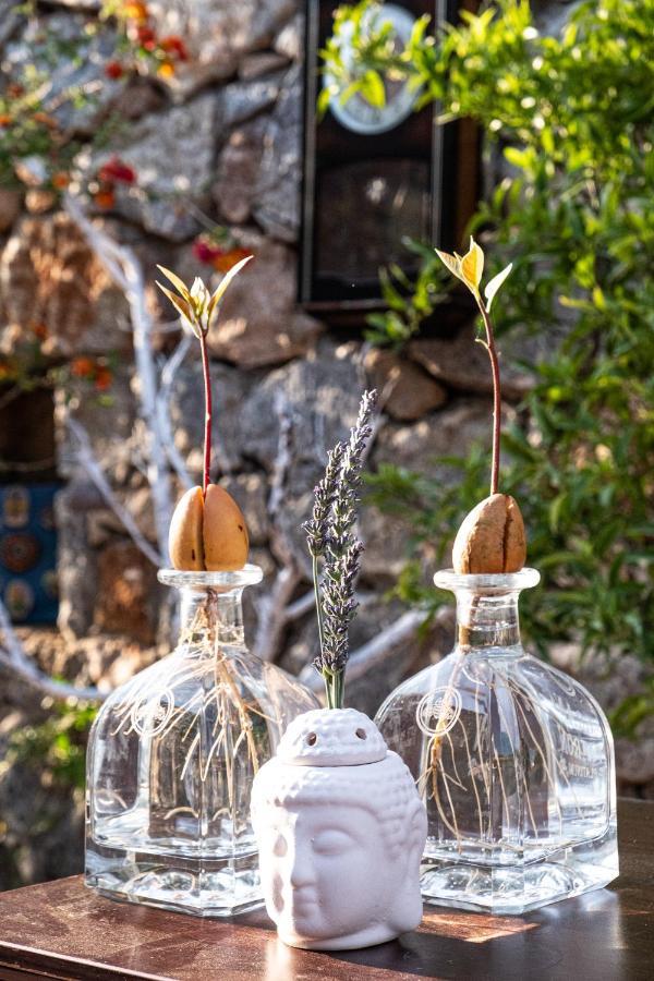 Отель Casa Di Pietra Фетхие Экстерьер фото